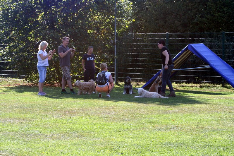../Images/Bild 072.jpg